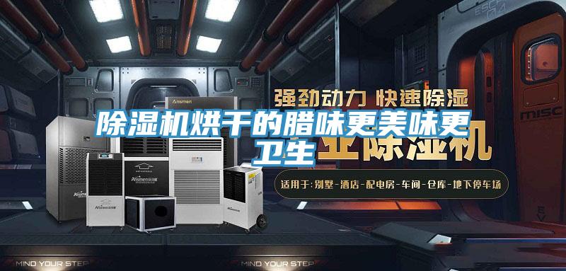 小黄片直播视频烘干的腊味更美味更卫生