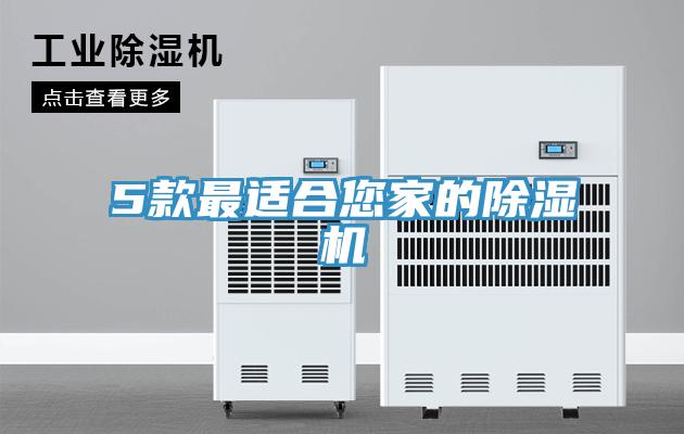 5款最适合您家的小黄片直播视频