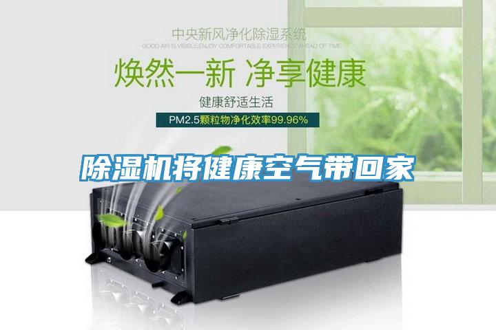 小黄片直播视频将健康空气带回家