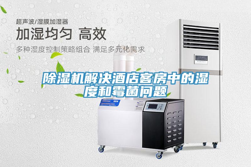 小黄片直播视频解决酒店客房中的湿度和霉菌问题