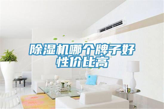 小黄片直播视频哪个牌子好性价比高