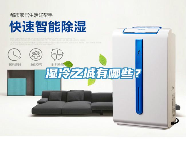 湿冷之城有哪些？