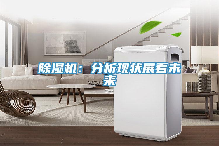 小黄片直播视频：分析现状展看未来