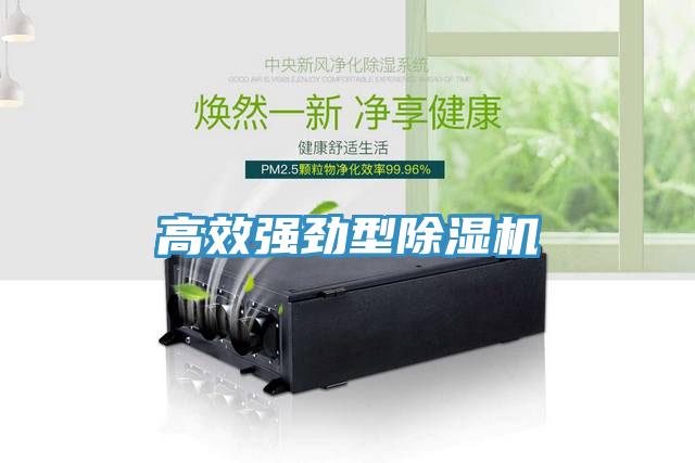 高效强劲型小黄片直播视频