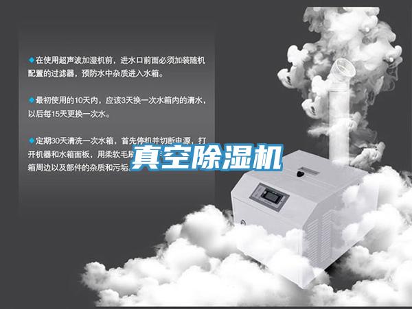 真空小黄片直播视频