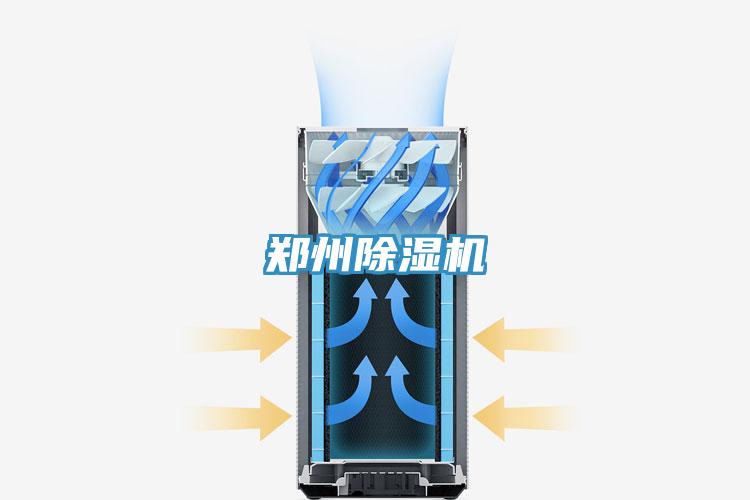 郑州小黄片直播视频