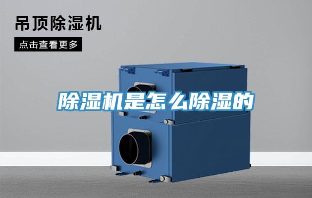 小黄片直播视频是怎么除湿的