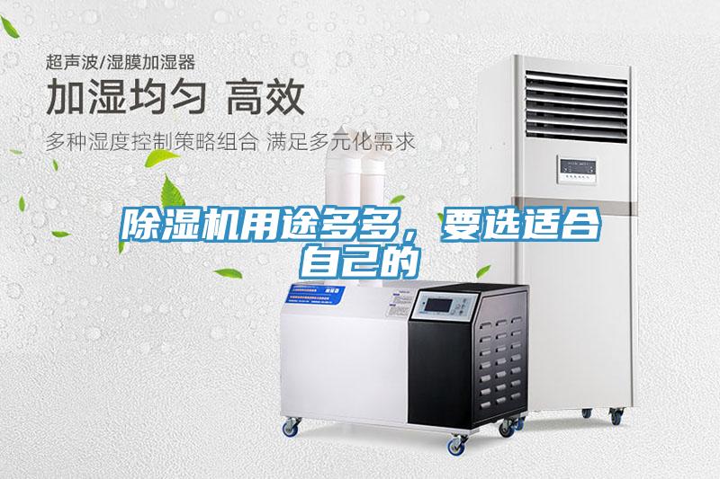 小黄片直播视频用途多多，要选适合自己的