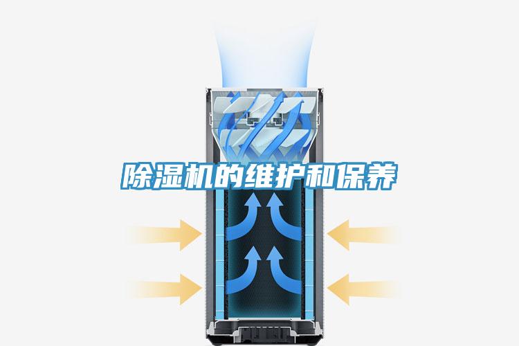 小黄片直播视频的维护和保养