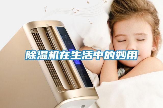小黄片直播视频在生活中的妙用