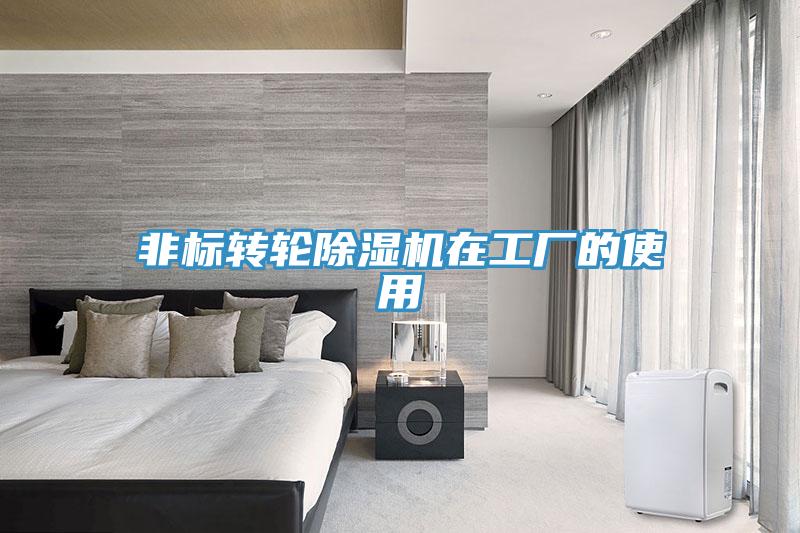 非标转轮小黄片直播视频在工厂的使用