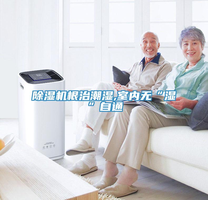 小黄片直播视频根治潮湿,室内无“湿”自通