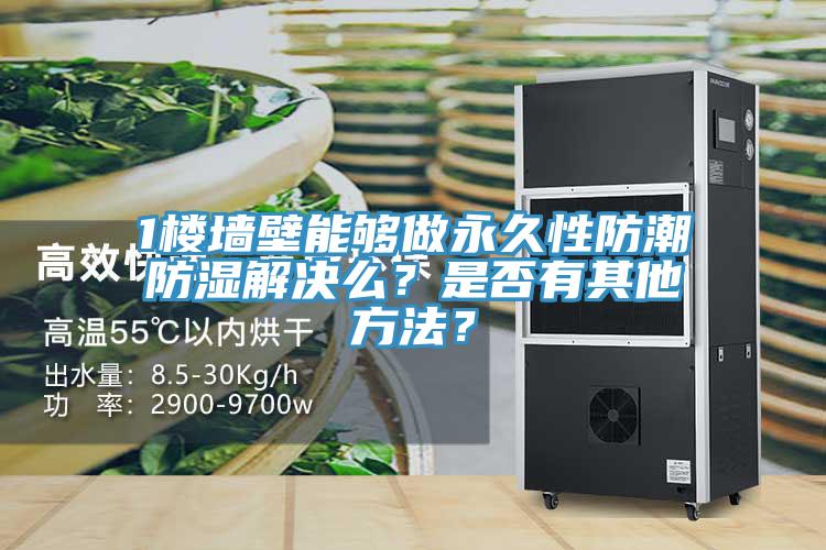 1楼墙壁能够做永久性防潮防湿解决么？是否有其他方法？