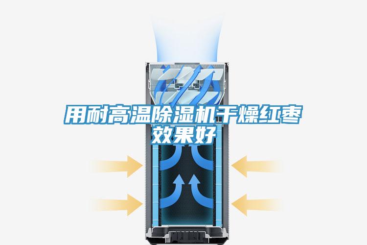 用耐高温小黄片直播视频干燥红枣效果好