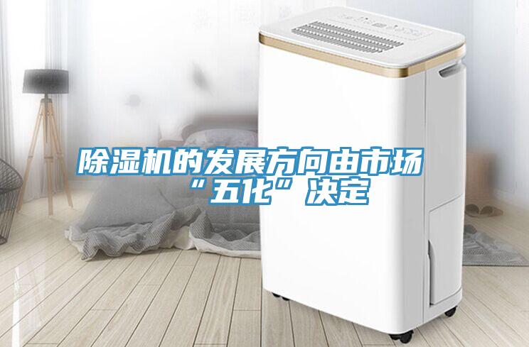 小黄片直播视频的发展方向由市场“五化”决定