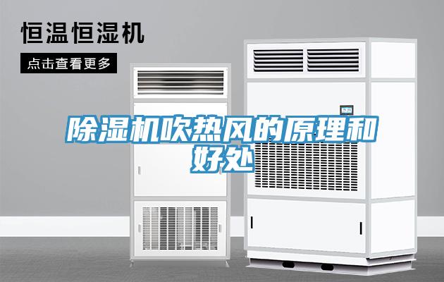 小黄片直播视频吹热风的原理和好处