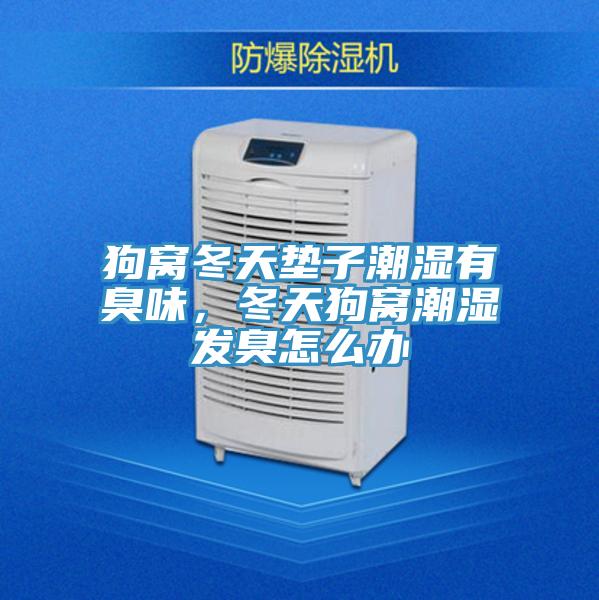 狗窝冬天垫子潮湿有臭味，冬天狗窝潮湿发臭怎么办