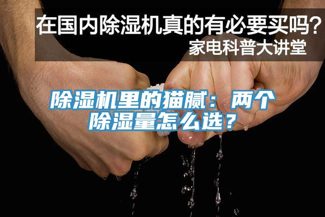 小黄片直播视频里的猫腻：两个除湿量怎么选？