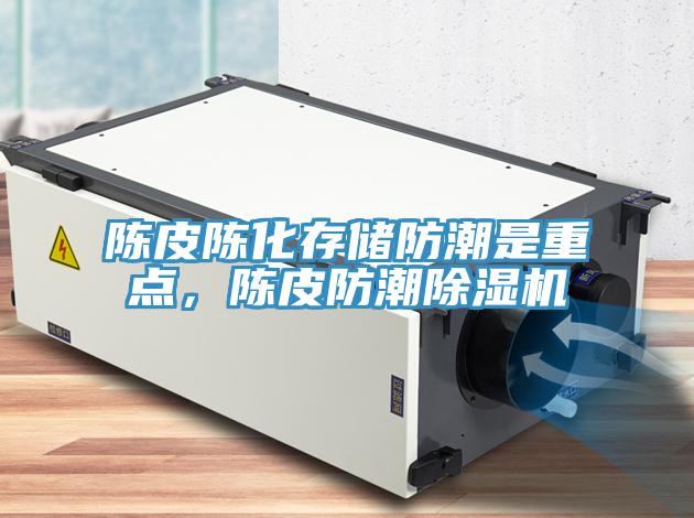 陈皮陈化存储防潮是重点，陈皮防潮小黄片直播视频