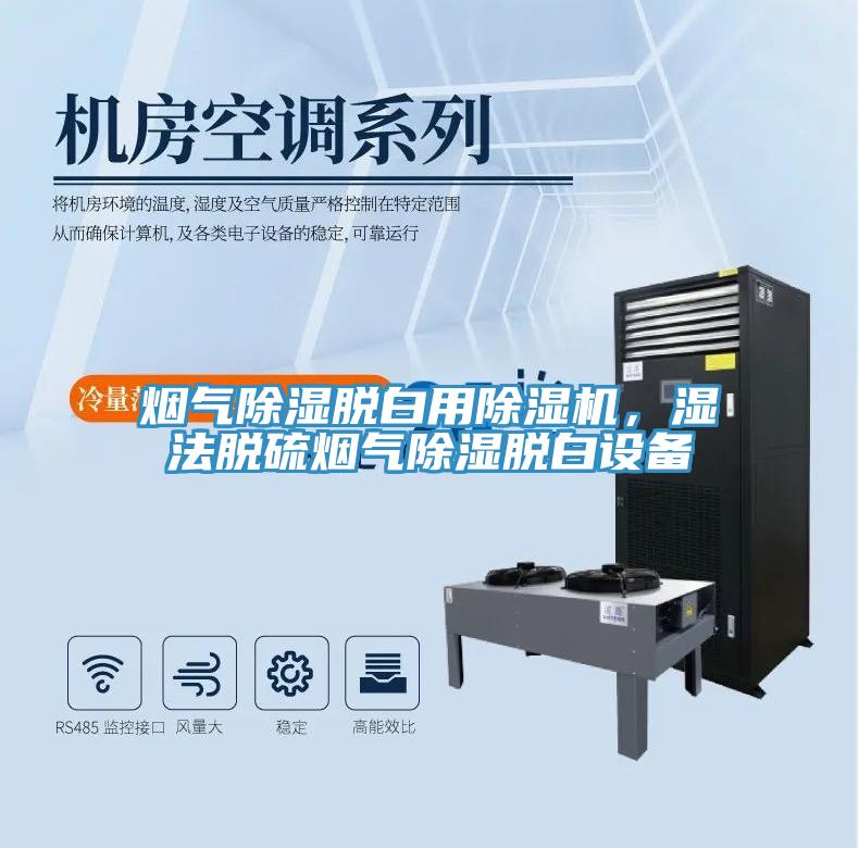烟气除湿脱白用小黄片直播视频，湿法脱硫烟气除湿脱白设备