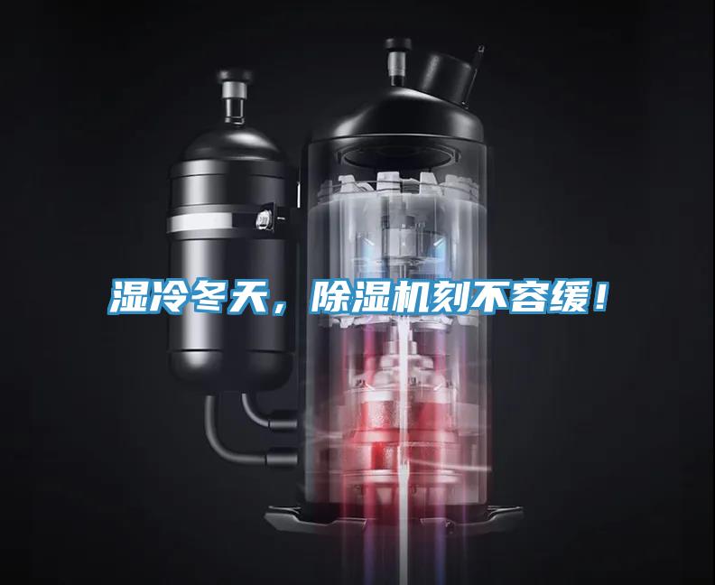 湿冷冬天，小黄片直播视频刻不容缓！