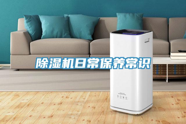 小黄片直播视频日常保养常识