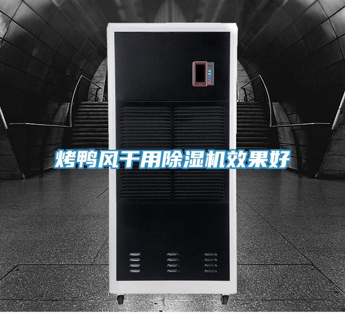 烤鸭风干用小黄片直播视频效果好