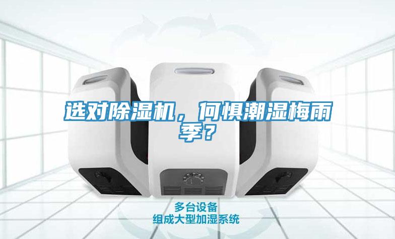 选对小黄片直播视频，何惧潮湿梅雨季？