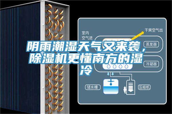 阴雨潮湿天气又来袭，小黄片直播视频更懂南方的湿冷