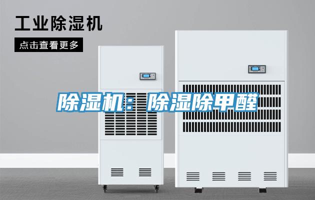 小黄片直播视频：除湿除甲醛