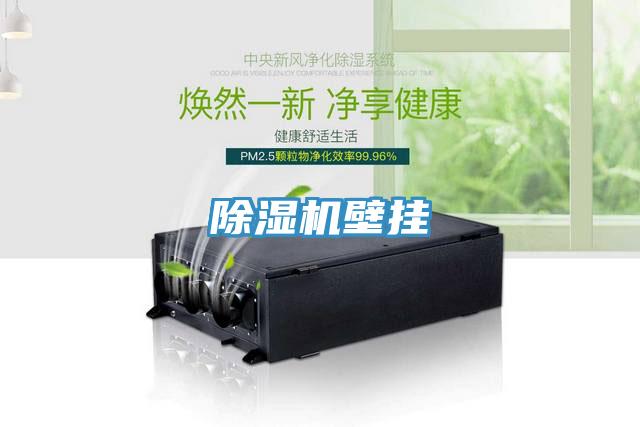 小黄片直播视频壁挂