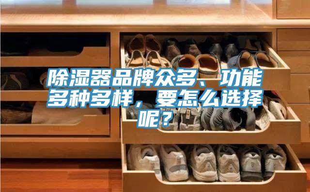 除湿器品牌众多、功能多种多样，要怎么选择呢？