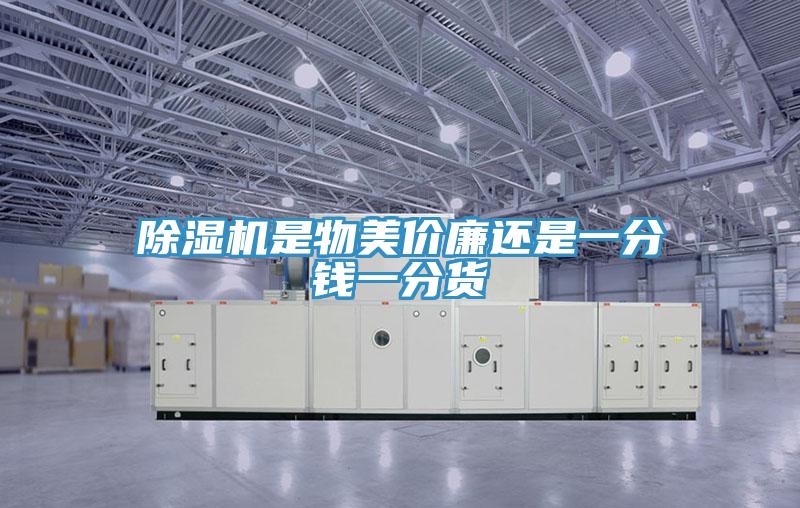 小黄片直播视频是物美价廉还是一分钱一分货