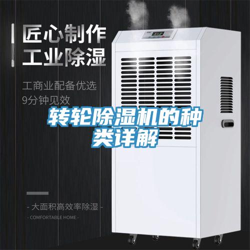 转轮小黄片直播视频的种类详解