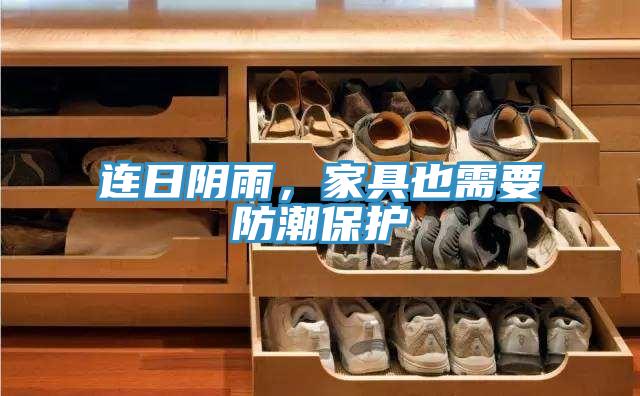 连日阴雨，家具也需要防潮保护