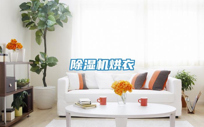 小黄片直播视频烘衣