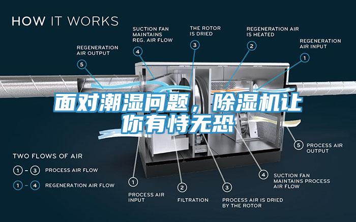 面对潮湿问题，小黄片直播视频让你有恃无恐