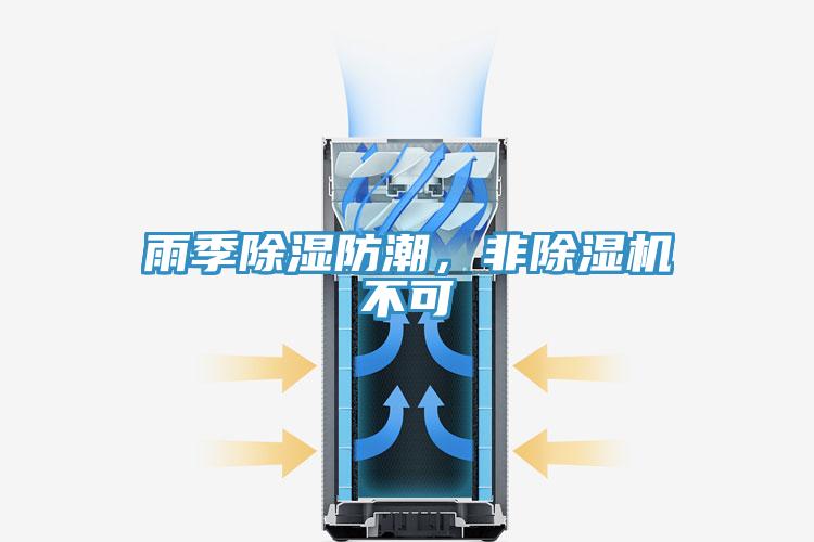 雨季除湿防潮，非小黄片直播视频不可