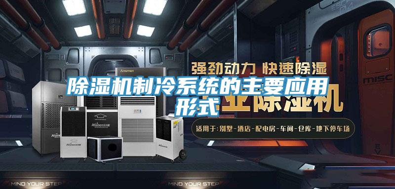 小黄片直播视频制冷系统的主要应用形式