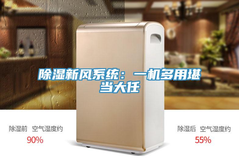 除湿新风系统：一机多用堪当大任