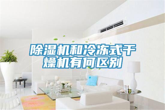 小黄片直播视频和冷冻式干燥机有何区别