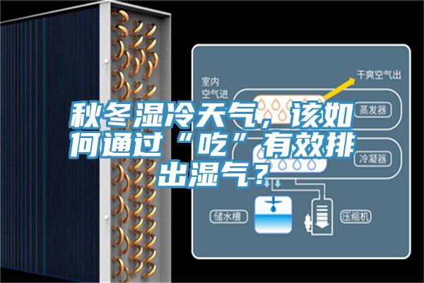 秋冬湿冷天气，该如何通过“吃”有效排出湿气？