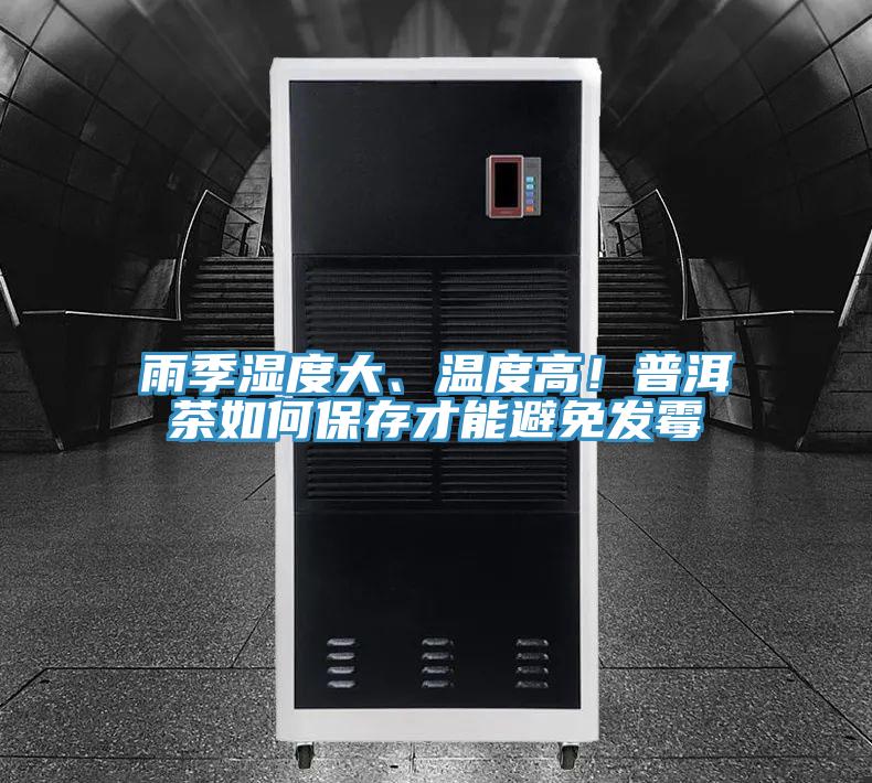 雨季湿度大、温度高！普洱茶如何保存才能避免发霉