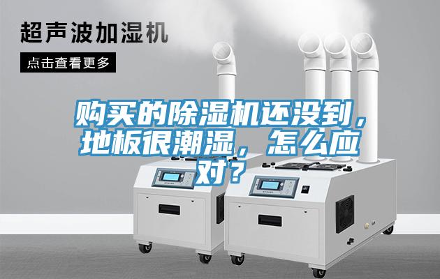 购买的小黄片直播视频还没到，地板很潮湿，怎么应对？