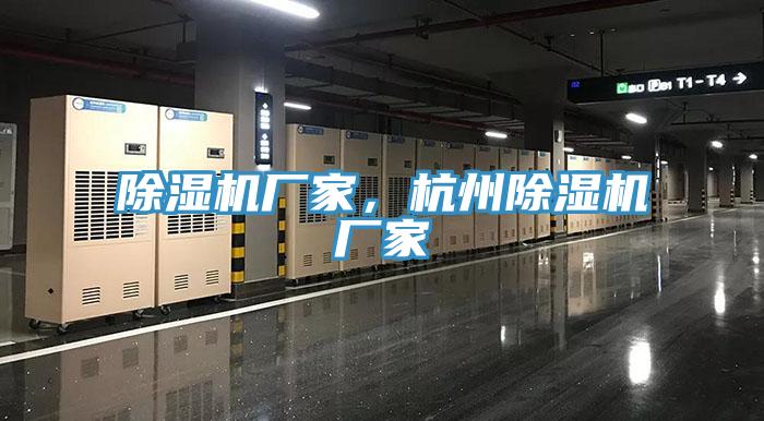 小黄片直播视频厂家，杭州小黄片直播视频厂家