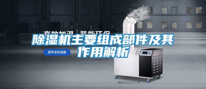 小黄片直播视频主要组成部件及其作用解析