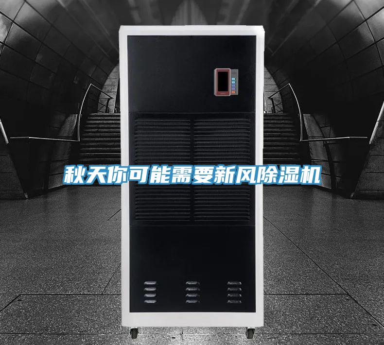 秋天你可能需要新风小黄片直播视频