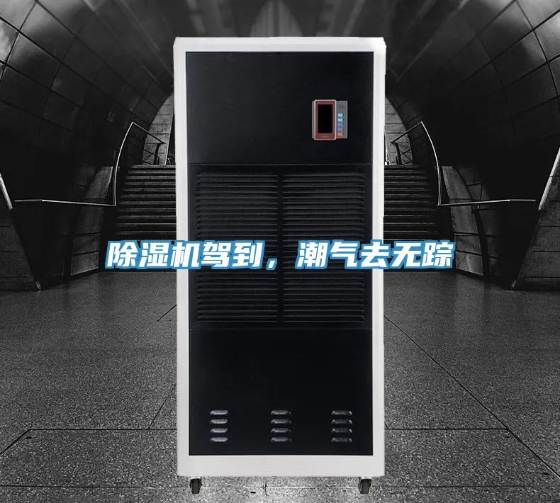小黄片直播视频驾到，潮气去无踪