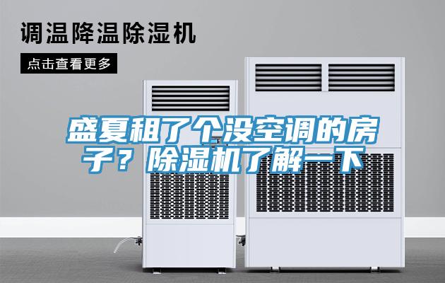 盛夏租了个没空调的房子？小黄片直播视频了解一下
