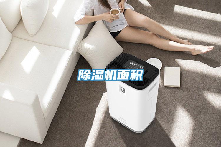 小黄片直播视频面积